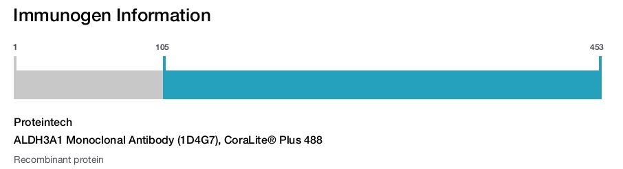 ALDH3A1 Monoclonal Antibody (1D4G7), CoraLite&reg; Plus 488