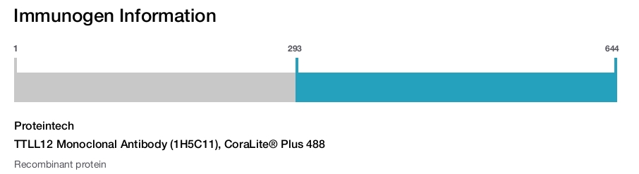 TTLL12 Monoclonal Antibody (1H5C11), CoraLite&reg; Plus 488