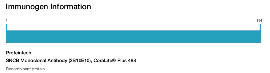 SNCB Monoclonal Antibody (2B10E10), CoraLite&reg; Plus 488