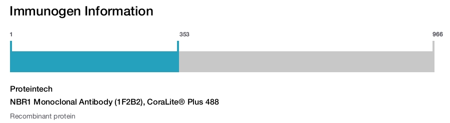 NBR1 Monoclonal Antibody (1F2B2), CoraLite&reg; Plus 488