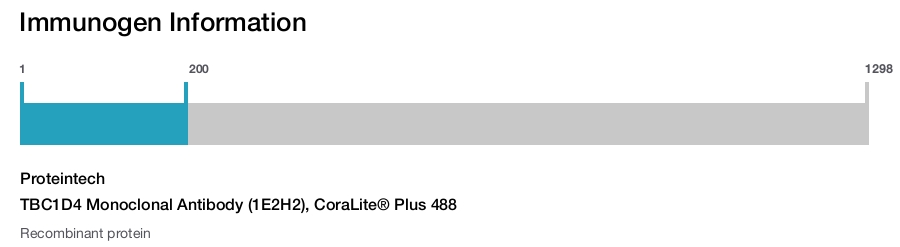 TBC1D4 Monoclonal Antibody (1E2H2), CoraLite&reg; Plus 488