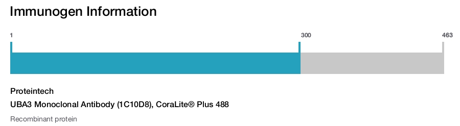 UBA3 Monoclonal Antibody (1C10D8), CoraLite&reg; Plus 488