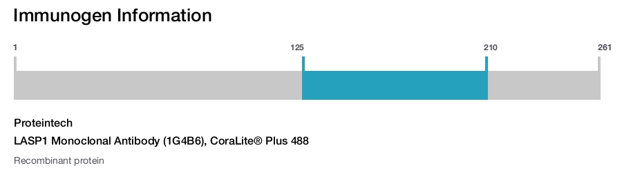 LASP1 Monoclonal Antibody (1G4B6), CoraLite&reg; Plus 488
