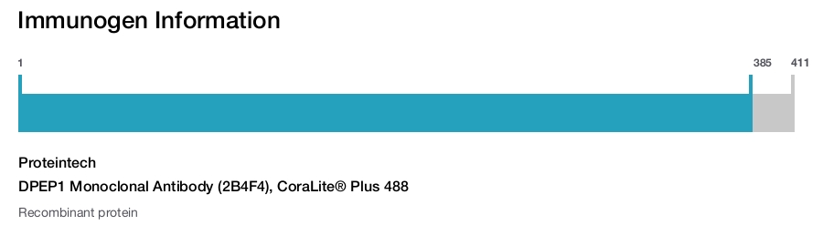 DPEP1 Monoclonal Antibody (2B4F4), CoraLite&reg; Plus 488