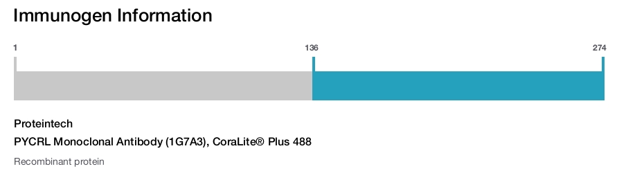 PYCRL Monoclonal Antibody (1G7A3), CoraLite&reg; Plus 488