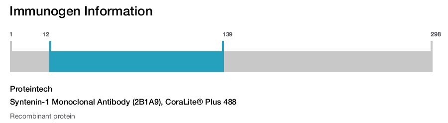 Syntenin-1 Monoclonal Antibody (2B1A9), CoraLite&reg; Plus 488