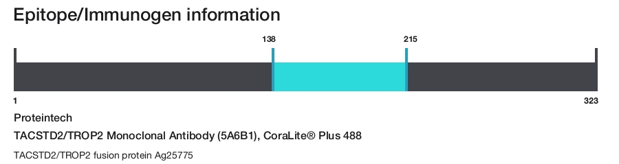 TACSTD2/TROP2 Monoclonal Antibody (5A6B1), CoraLite&reg; Plus 488
