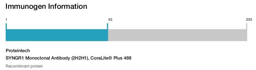 SYNGR1 Monoclonal Antibody (2H2H1), CoraLite&reg; Plus 488