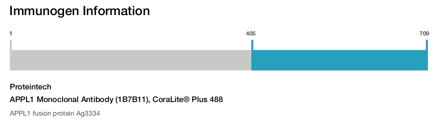APPL1 Monoclonal Antibody (1B7B11), CoraLite&reg; Plus 488
