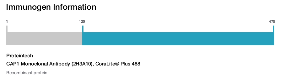 CAP1 Monoclonal Antibody (2H3A10), CoraLite&reg; Plus 488