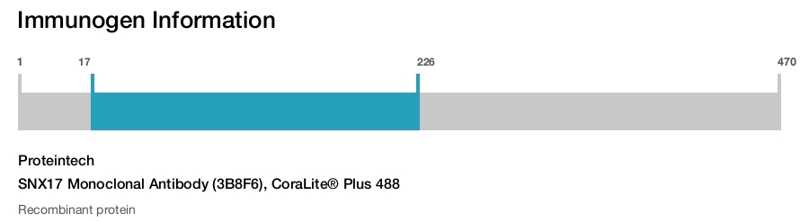 SNX17 Monoclonal Antibody (3B8F6), CoraLite&reg; Plus 488