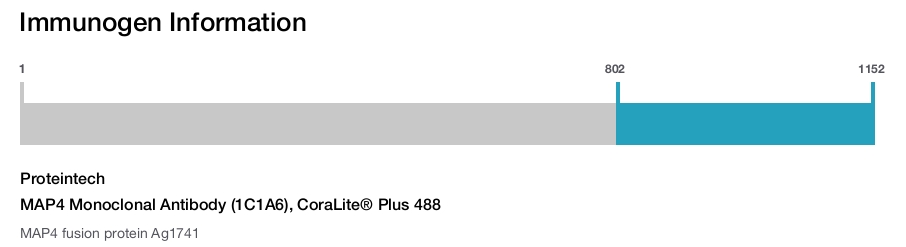 MAP4 Monoclonal Antibody (1C1A6), CoraLite&reg; Plus 488