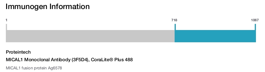 MICAL1 Monoclonal Antibody (3F5D4), CoraLite® Plus 488