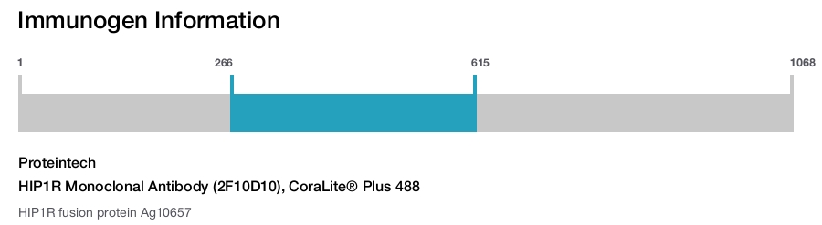 HIP1R Monoclonal Antibody (2F10D10), CoraLite&reg; Plus 488