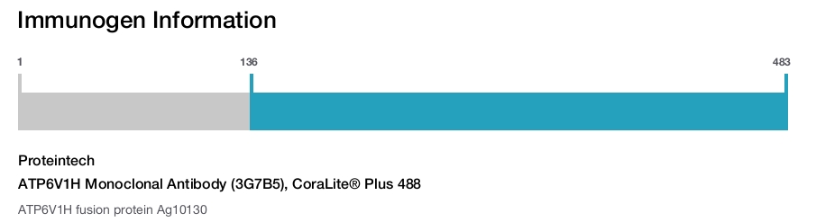 ATP6V1H Monoclonal Antibody (3G7B5), CoraLite&reg; Plus 488