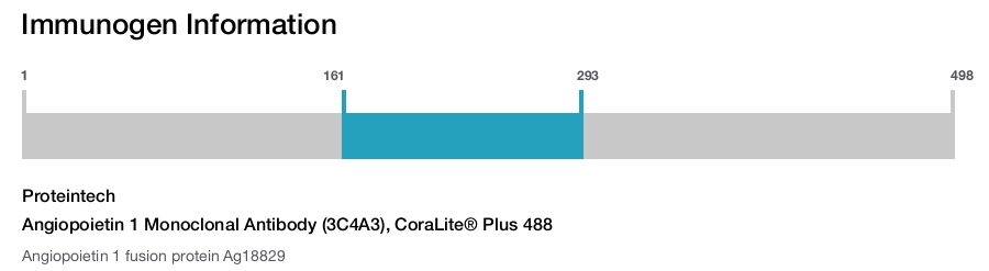 Angiopoietin 1 Monoclonal Antibody (3C4A3), CoraLite&reg; Plus 488