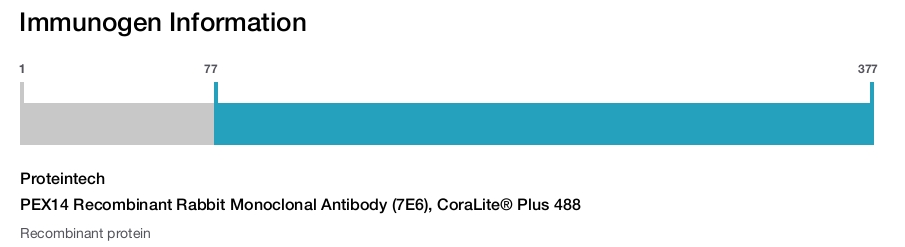 PEX14 Recombinant Rabbit Monoclonal Antibody (7E6), CoraLite&reg; Plus 488