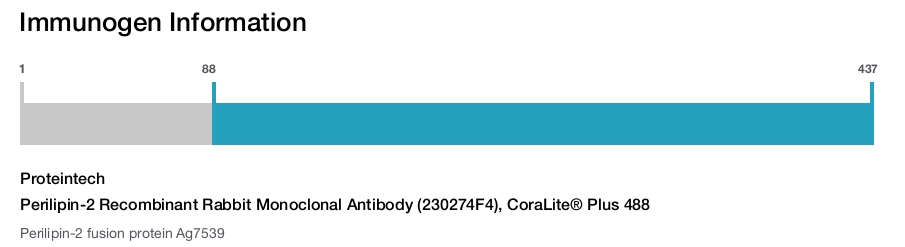 Perilipin-2 Recombinant Rabbit Monoclonal Antibody (230274F4), CoraLite&reg; Plus 488