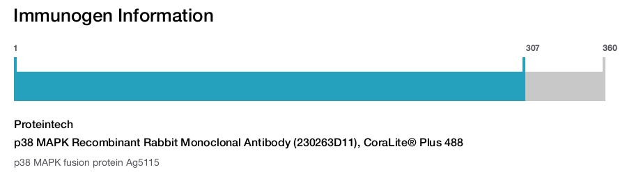 p38 MAPK Recombinant Rabbit Monoclonal Antibody (230263D11), CoraLite&reg; Plus 488