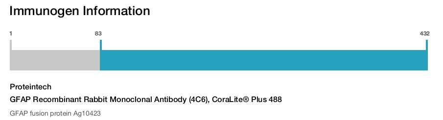 GFAP Recombinant Rabbit Monoclonal Antibody (4C6), CoraLite&reg; Plus 488