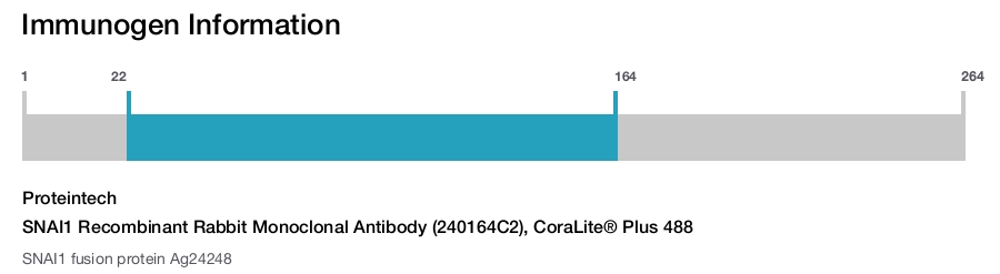 SNAI1 Recombinant Rabbit Monoclonal Antibody (240164C2), CoraLite&reg; Plus 488