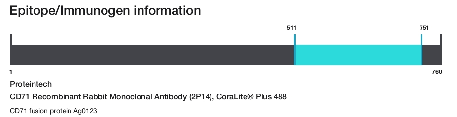 CD71 Recombinant Rabbit Monoclonal Antibody (2P14), CoraLite&reg; Plus 488