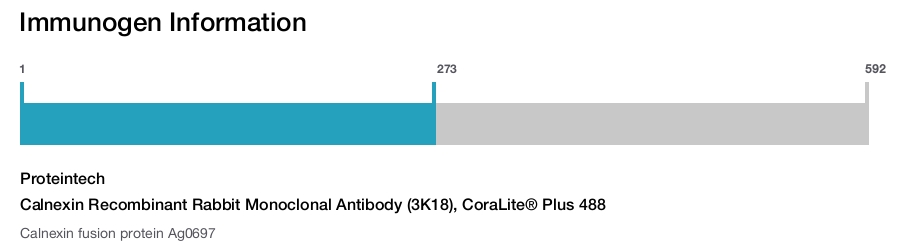Calnexin Recombinant Rabbit Monoclonal Antibody (3K18), CoraLite&reg; Plus 488