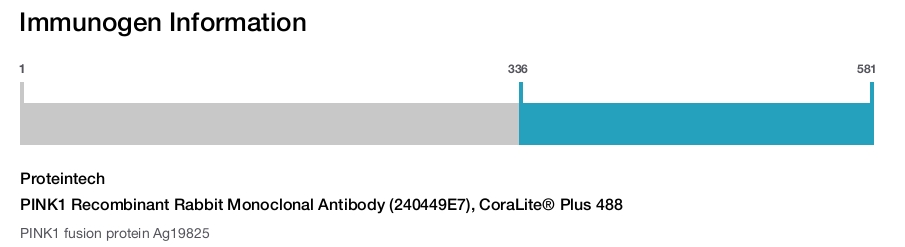 PINK1 Recombinant Rabbit Monoclonal Antibody (240449E7), CoraLite&reg; Plus 488