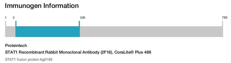 STAT1 Recombinant Rabbit Monoclonal Antibody (2F16), CoraLite&reg; Plus 488