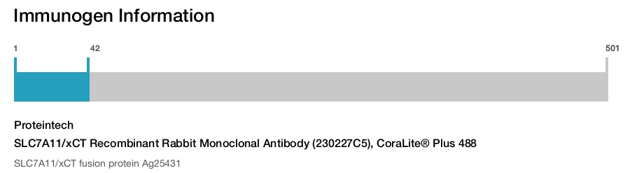SLC7A11/xCT Recombinant Rabbit Monoclonal Antibody (230227C5), CoraLite&reg; Plus 488