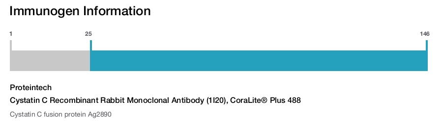 Cystatin C Recombinant Rabbit Monoclonal Antibody (1I20), CoraLite&reg; Plus 488