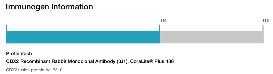 CDX2 Recombinant Rabbit Monoclonal Antibody (3J1), CoraLite&reg; Plus 488