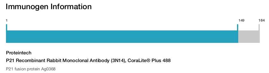 P21 Recombinant Rabbit Monoclonal Antibody (3N14), CoraLite&reg; Plus 488