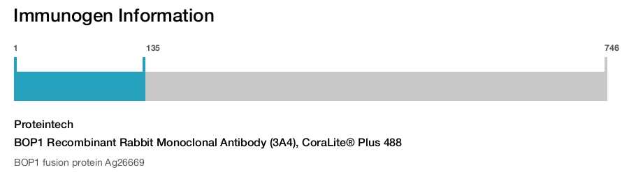 BOP1 Recombinant Rabbit Monoclonal Antibody (3A4), CoraLite&reg; Plus 488