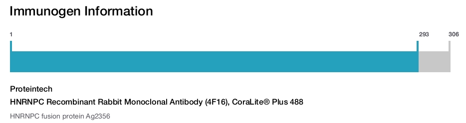 HNRNPC Recombinant Rabbit Monoclonal Antibody (4F16), CoraLite&reg; Plus 488
