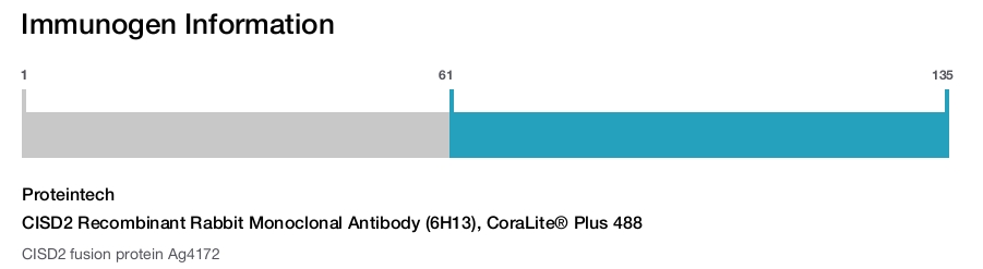 CISD2 Recombinant Rabbit Monoclonal Antibody (6H13), CoraLite&reg; Plus 488