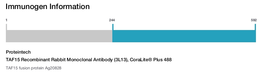 TAF15 Recombinant Rabbit Monoclonal Antibody (3L13), CoraLite&reg; Plus 488