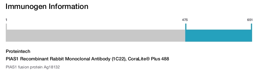 PIAS1 Recombinant Rabbit Monoclonal Antibody (1C22), CoraLite&reg; Plus 488
