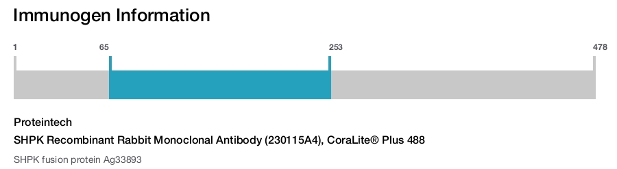 SHPK Recombinant Rabbit Monoclonal Antibody (230115A4), CoraLite&reg; Plus 488