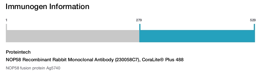 NOP58 Recombinant Rabbit Monoclonal Antibody (230058C7), CoraLite&reg; Plus 488