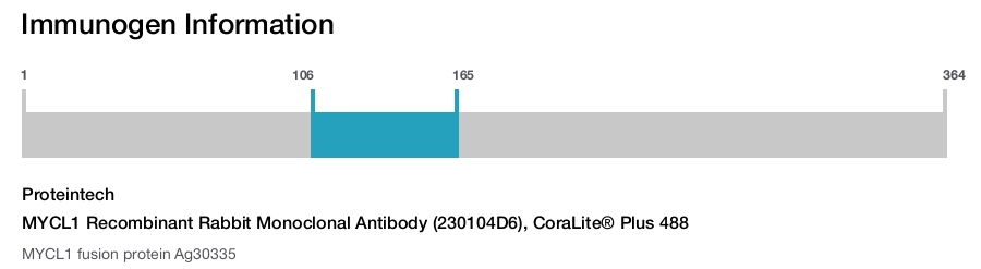 MYCL1 Recombinant Rabbit Monoclonal Antibody (230104D6), CoraLite&reg; Plus 488