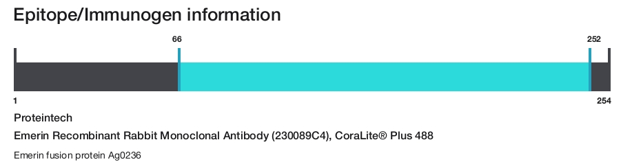 Emerin Recombinant Rabbit Monoclonal Antibody (230089C4), CoraLite&reg; Plus 488