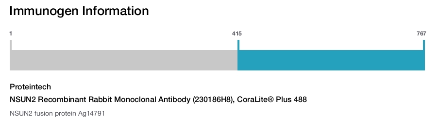 NSUN2 Recombinant Rabbit Monoclonal Antibody (230186H8), CoraLite&reg; Plus 488