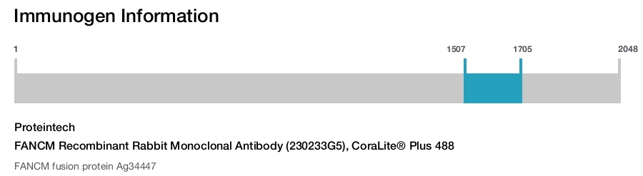 FANCM Recombinant Rabbit Monoclonal Antibody (230233G5), CoraLite&reg; Plus 488