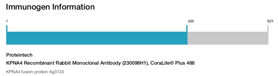 KPNA4 Recombinant Rabbit Monoclonal Antibody (230098H1), CoraLite&reg; Plus 488