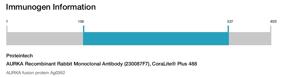 AURKA Recombinant Rabbit Monoclonal Antibody (230087F7), CoraLite&reg; Plus 488