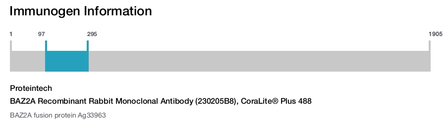 BAZ2A Recombinant Rabbit Monoclonal Antibody (230205B8), CoraLite&reg; Plus 488