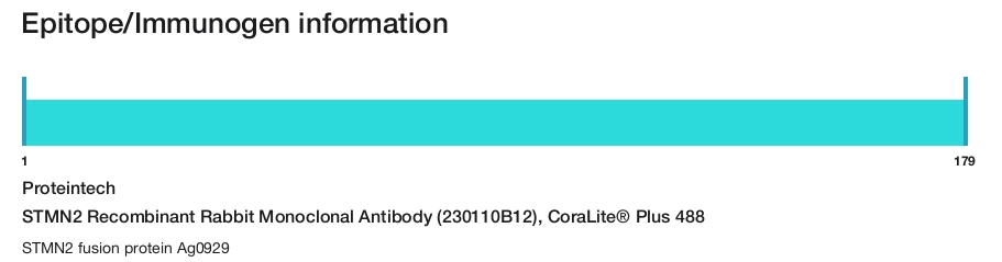 STMN2 Recombinant Rabbit Monoclonal Antibody (230110B12), CoraLite&reg; Plus 488
