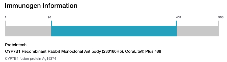 CYP7B1 Recombinant Rabbit Monoclonal Antibody (230160H5), CoraLite&reg; Plus 488