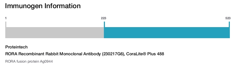 RORA Recombinant Rabbit Monoclonal Antibody (230217G6), CoraLite&reg; Plus 488